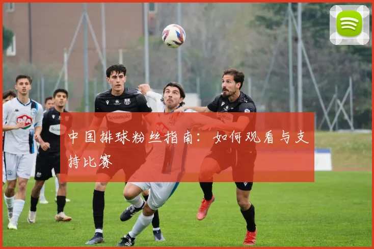 中国排球粉丝指南:如何观看与支持比赛