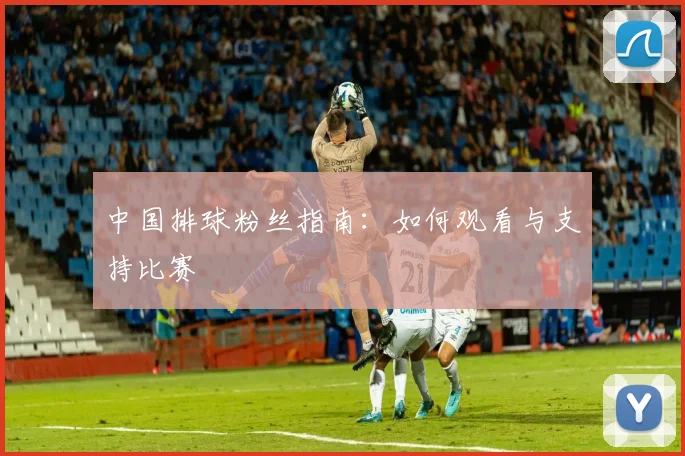 中国排球粉丝指南：如何观看与支持比赛